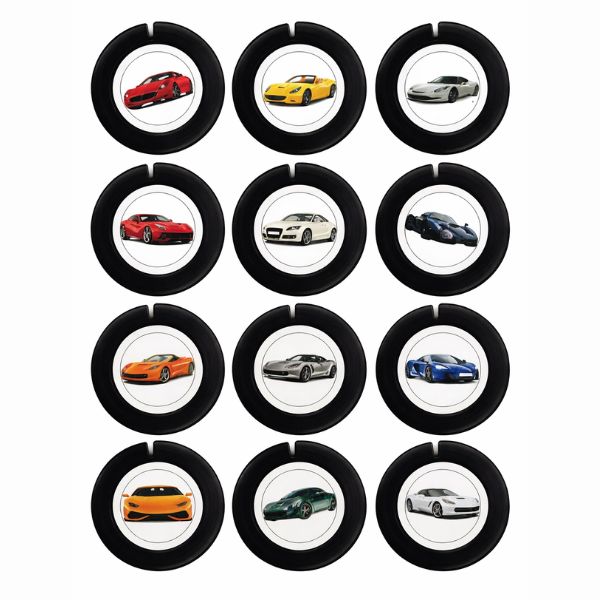 Car Permanent License Disc Holder